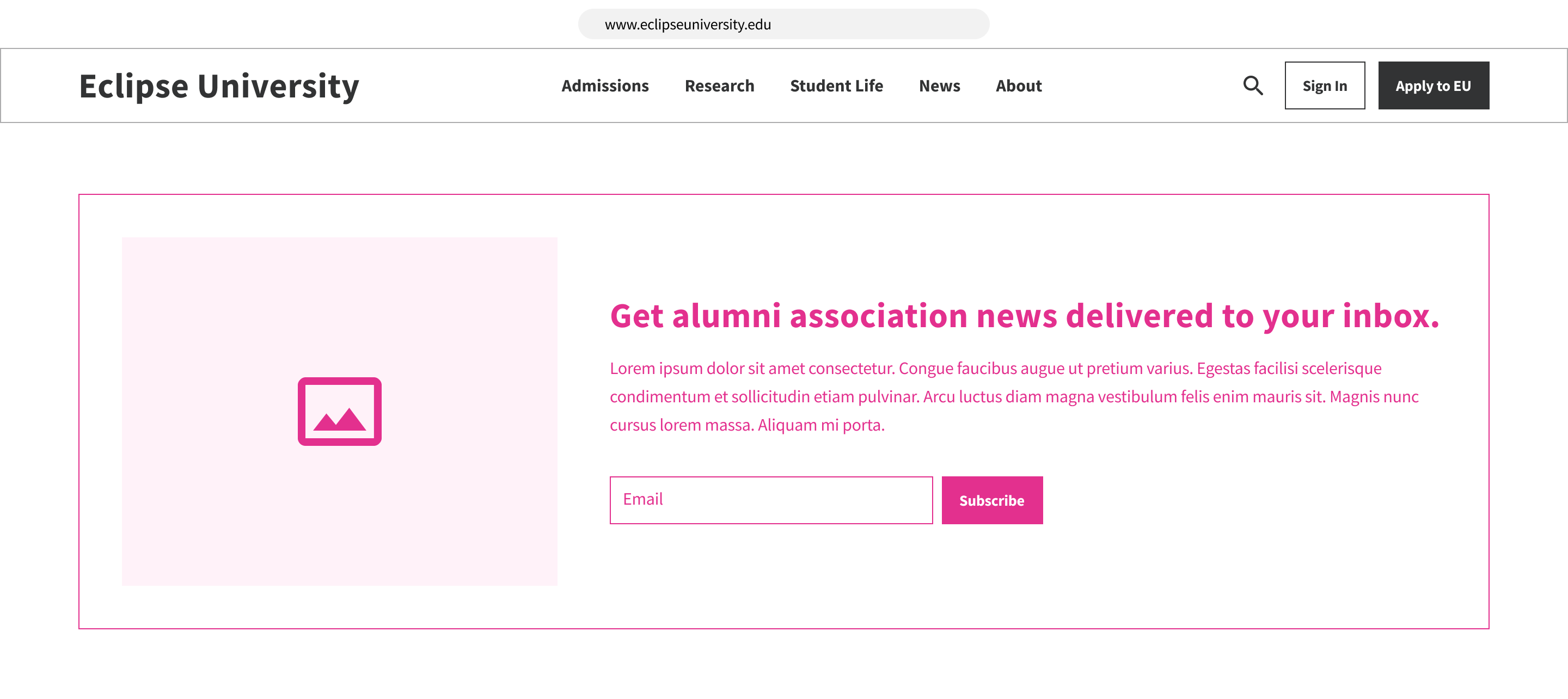 A wireframe of a 'Subscribe' form to receive alumni association news.