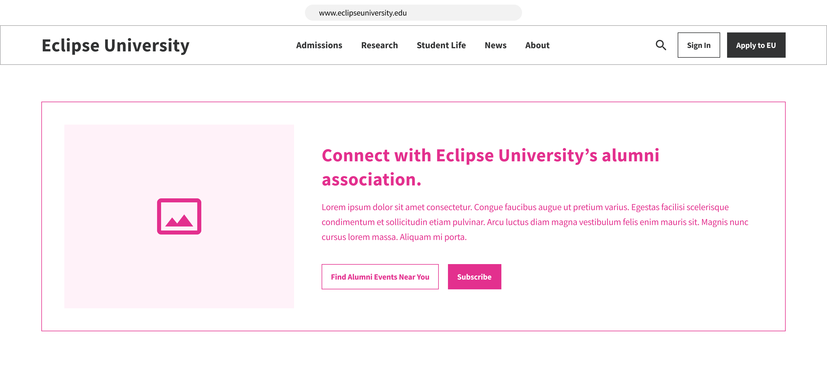 A wireframe with a 'Subscribe' button to receive alumni association news, and a 'Find Alumni Events Near You' button..